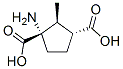 207983-48-0,1,3-Cyclopentanedicarboxylicacid,1-amino-2-methyl-,(1S,2S,3R)-(9CI)