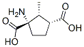 207983-49-1,1,3-Cyclopentanedicarboxylicacid,1-amino-2-methyl-,(1S,2R,3R)-(9CI)