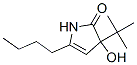 210972-58-0,2H-Pyrrol-2-one, 5-butyl-3-(1,1-dimethylethyl)-1,3-dihydro-3-hydroxy- (9CI)