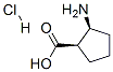212755-84-5,CIS-2-AMINO-1-CYCLOPENTANECARBOXYLIC ACID HYDROCHLORIDE HEMIHYDRATE, 99