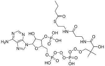 2140-48-9,[5-(6-aminopurin-9-yl)-2-[[[[3-[2-(2-butanoylsulfanylethylcarbamoyl)ethylcarbamoyl]-3-hydroxy-2,2-dimethyl-propoxy]-hydroxy-phosphoryl]oxy-hydroxy-phosphoryl]oxymethyl]-4-hydroxy-oxolan-3-yl]oxyphosphonic acid