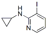 214074-22-3,CYCLOPROPYL-(3-IODO-PYRIDIN-2-YL)-AMINE