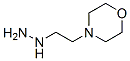 2154-24-7,(2-MORPHOLIN-4-YL-ETHYL)-HYDRAZINE