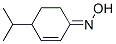 215456-39-6,2-Cyclohexen-1-one,4-(1-methylethyl)-,oxime(9CI)