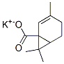 2181-04-6,Potassium canrenoate