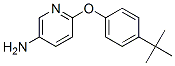 218457-67-1,5-AMINO-2-(4-TERT-BUTYLPHENOXY)PYRIDINE