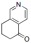 21917-86-2,7,8-DIHYDROISOQUINOLIN-5(6H)-ONE