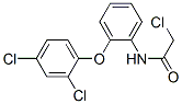 219314-77-9,N1-[2-(2,4-DICHLOROPHENOXY)PHENYL]-2-CHLOROACETAMIDE