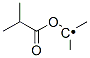 219939-50-1,Ethyl,  1-methyl-1-(2-methyl-1-oxopropoxy)-  (9CI)