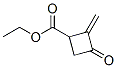 220301-46-2,Cyclobutanecarboxylic acid, 2-methylene-3-oxo-, ethyl ester (9CI)