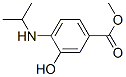 220844-94-0,Benzoic acid, 3-hydroxy-4-[(1-methylethyl)amino]-, methyl ester (9CI)