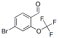 220996-80-5,4-Bromo-2-(trifluoromethoxy)benzaldehyde
