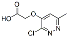 22390-55-2,2-(3-chloro-6-methyl-pyridazin-4-yl)oxyacetic acid