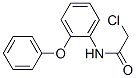 22504-02-5,2-CHLORO-N-(2-PHENOXY-PHENYL)-ACETAMIDE
