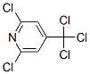 22652-14-8,2,6-DICHLORO-4-(TRICHLOROMETHYL)PYRIDINE