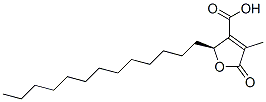 22800-25-5,(S)-2-tridecyl-2,5-dihydro-4-methyl-5-oxo-3-furoic acid
