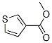 22913-26-4,METHYL 3-THIOPHENECARBOXYLATE  97
