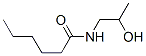 23054-59-3,N-(2-hydroxypropyl)hexanamide
