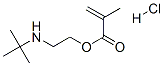23158-89-6,2-[(1,1-dimethylethyl)amino]ethyl methacrylate hydrochloride