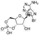 23583-48-4,8-BROMOADENOSINE 3':5'-CYCLIC MONOPHOSPHATE