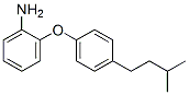 23838-75-7,2-(4-isopentylphenoxy)aniline
