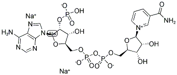 24292-60-2,Triphosphopyridine nucleotide disodium salt