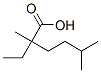 24353-79-5,2,5-dimethyl-2-ethylhexanoic acid