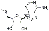 2457-80-9,5'-DEOXY-5'-METHYLTHIOADENOSINE