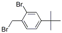 246139-76-4,2-BROMO-1-BROMOMETHYL-4-TERT-BUTYL-BENZENE