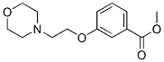 249937-00-6,METHYL 3-(2-MORPHOLIN-4-YLETHOXY)BENZOATE