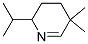 250348-03-9,Pyridine, 2,3,4,5-tetrahydro-5,5-dimethyl-2-(1-methylethyl)- (9CI)