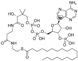 25045-61-8,NONADECANOYL COENZYME A