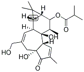 25090-74-8,12-DEOXYPHORBOL 13-ISOBUTYRATE