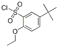 252898-57-0,5-TERT-BUTYL-2-ETHOXYBENZENE-1-SULFONYL CHLORIDE