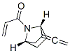 254964-21-1,7-Azabicyclo[2.2.1]heptane,2-ethenylidene-7-(1-oxo-2-propenyl)-,(1R,4S)-(9CI)