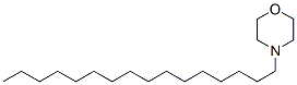 25727-91-7,N-CETYLMORPHOLINE
