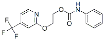 257284-79-0,ETHANOL, 2-[[4-(TRIFLUOROMETHYL)-2-PYRIDINYL]OXY]-, PHENYLCARBAMATE (ESTER)