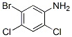 258344-01-3,BENZENAMINE, 5-BROMO-2,4-DICHLORO-