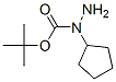 259870-74-1,Hydrazinecarboxylic acid, 1-cyclopentyl-, 1,1-dimethylethyl ester (9CI)