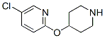 260441-44-9,2-(PIPERIDIN-4-YL-OXY)-5-CHLOROPYRIDINE
