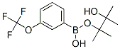 262376-31-8,3-(TRIFLUOROMETHOXY)PHENYLBORONIC ACID, PINACOL ESTER