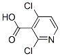 262423-77-8,2,4-Dichloropyridine-3-carboxylic acid