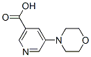263270-06-0,5-MORPHOLIN-4-YL-NICOTINIC ACID