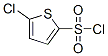 2766-74-7,5-Chlorothiophene-2-sulfonyl chloride