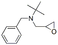 28026-69-9,N-tert-butyl-N-(2,3-epoxypropyl)benzylamine