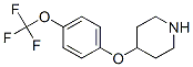 28033-37-6,4-[4-(Trifluoromethoxy)phenoxy]piperidine
