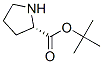 2812-46-6,H-PRO-OTBU