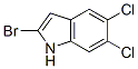 286949-66-4,2-BROMO-5,6-DICHLORO-1H-INDOLE