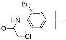 287923-75-5,N1-[2-BROMO-4-(TERT-BUTYL)PHENYL]-2-CHLOROACETAMIDE