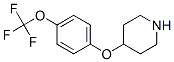 287952-67-4,4-[4-(TRIFLUOROMETHOXY)PHENOXY]PIPERIDINE